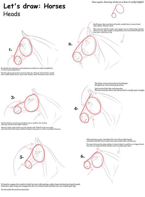 Horse Heads - Horse Head Drawing Tutorial Horse Head Anatomy Drawing, Horse Sketch Tutorial, How To Draw Horse Face, Horse Head Tutorial, Horse Head Reference, Horse Sketch Step By Step, How To Draw A Horse Head, Horse Head Anatomy, How To Draw Horse