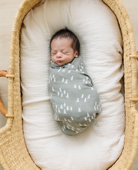 100% cotton and as soft as butter, the best thing about muslin is it gets softer the more it is washed. Modern and gender neutral, this super soft pine trees muslin baby swaddle blanket is perfect for swaddling, nursing, or on the go.⁠ ⁠ The more you buy, the more you save. Right now, save up to 20% off 3 or more select bedding items. Newborn Swaddle Blanket, Baby Muslin Swaddle, Diaper Bag Accessories, French Baby, Soft Baby Blankets, Newborn Swaddle, Muslin Swaddle Blanket, Muslin Blankets, Muslin Swaddle