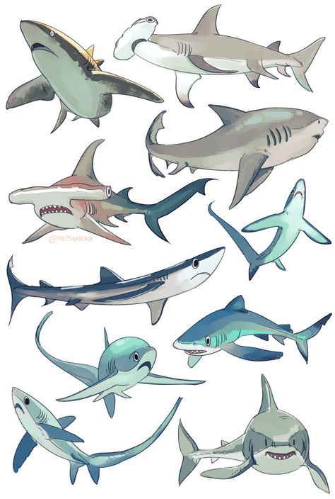 (42) 50% sea 50% weed sur Tumblr Shark Concept Art, Shark Person, Cute Shark Drawing, Shark Humor, Shark Sketch, Shark Facts, Sea Creatures Art, Shark Pictures, Shark Drawing