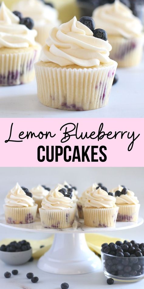 Lemon blueberry cupcakes made from scratch are perfect for spring and summer. This easy cupcake recipe is made with fresh lemons and blueberries and frosted with lemon cream cheese buttercream frosting. Lemon Cupcakes Blueberry Frosting, Sugared Blueberries On Cupcakes, Lemon Blueberry Filled Cupcakes, Flavored Cupcakes Recipes, Cool Cupcakes Ideas, Cupcake Recipes Wedding, Lemon Blueberry Cupcake Recipe, Lemon Blueberry Frosting, Easter Cupcakes Flavors