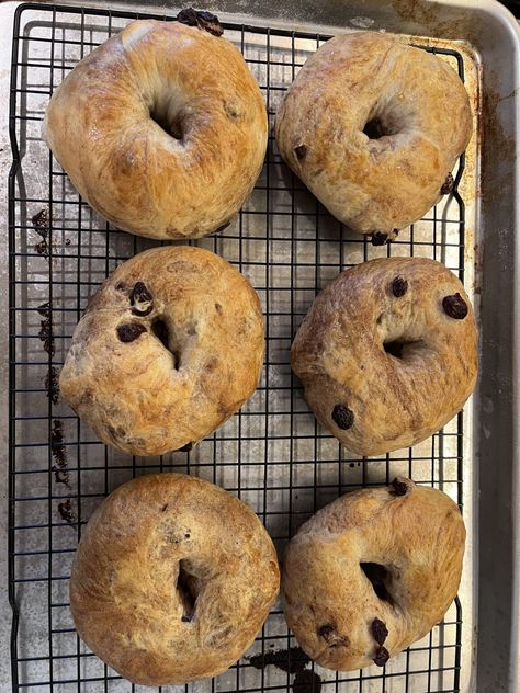 Homemade Bagels Cinnamon Raisin, High Protein Cinnamon Raisin Bagels, Cinnamon Swirl Bagels, Homemade Cinnamon Raisin Bagels, Cinnamon Raisin Bagel Recipe, Bagel Recipe Bread Machine, Bagels Recipe Homemade, Cinnamon Raisin Bagels, Raisin Bagels