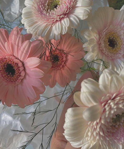 Daisy Arrangements, Daisies Aesthetic, Flowers Tulips, Gerbera Daisies, Floral Aesthetic, Gerbera Daisy, Aesthetic Summer, Summer Floral, Floral Bouquets