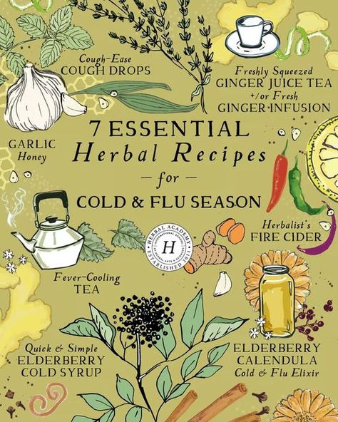 Elixir Recipe, Medicine Garden, Herbal Medicine Recipes, Fire Cider, Herbal Elixir, Herbal Recipes, Herbal Apothecary, Natural Healing Remedies, Ginger Juice