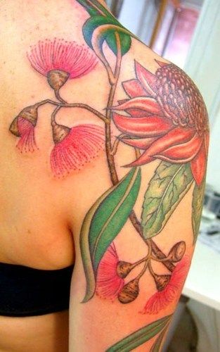 Australian Native plant botanical tattoos Australian flowering Gum, Waratah & Eucalyptus Tattoo Lu - Australia Australia Tattoo, Botanical Tattoos, Australian Tattoo, Native Tattoos, Australian Wildflowers, Wildflower Tattoo, Australian Flowers, Hawaiian Tattoo, Australian Native Flowers