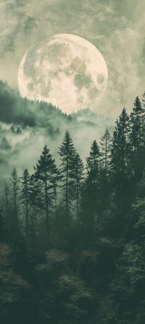 Forest Pictures Aesthetic, Moon Forest Tattoo, Forest Aesthetic Landscape, Forest Fog Aesthetic, Magical Forest Wallpaper, Full Moon Forest, Fog Aesthetic, Trees In Fog, Fog Forest