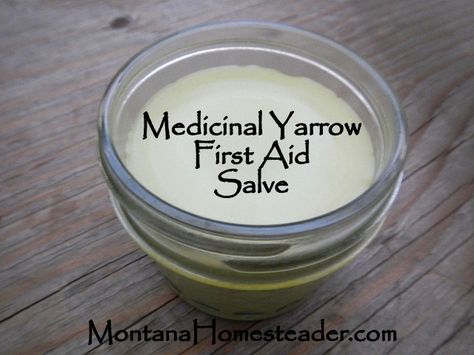 How to make a homemade medicinal yarrow first aid salve Montana Homesteader Salve Recipes, Herbal Salves, Healing Salves, Natural Healing Remedies, Cold Home Remedies, Homemade Remedies, Healing Herbs, Natural Health Remedies, Medicinal Herbs