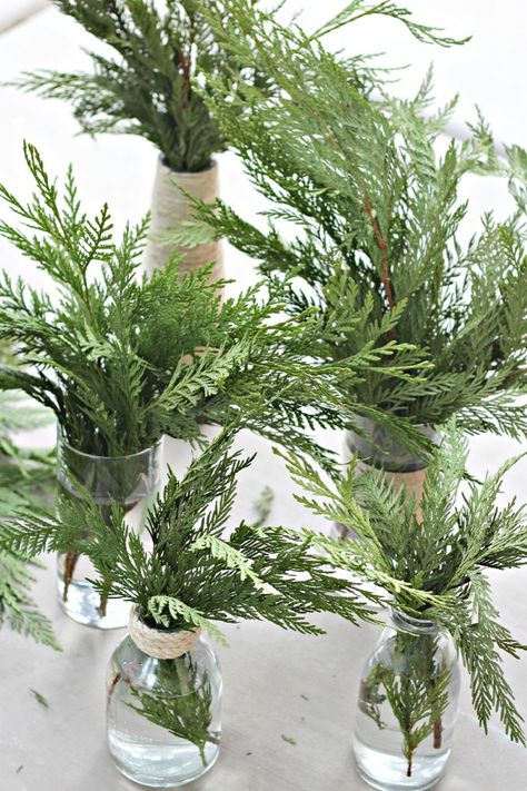 Pine Tree Floral Arrangements, Cedar Branch Wedding Decor, Pine Tree Bridal Shower Ideas, Winter Wedding Pine Tree Decor, Christmas Shower Centerpieces, Winter Centerpieces For Table Baby Shower, Winter Wedding Bridal Shower Ideas, Pine Tree Table Decor, Pine Branch Table Decor