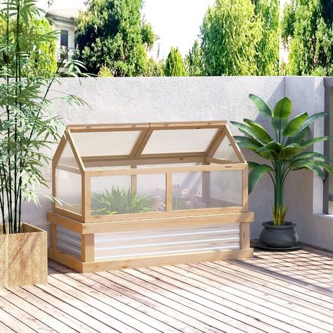 Outsunny 4' W x 2' D Mini Greenhouse | Wayfair Cold Frame Greenhouse, Mini Serre, Greenhouse Cover, Raised Garden Bed Kits, Polycarbonate Greenhouse, Wooden Greenhouses, Garden Flower Beds, Greenhouse Plants, Small Greenhouse