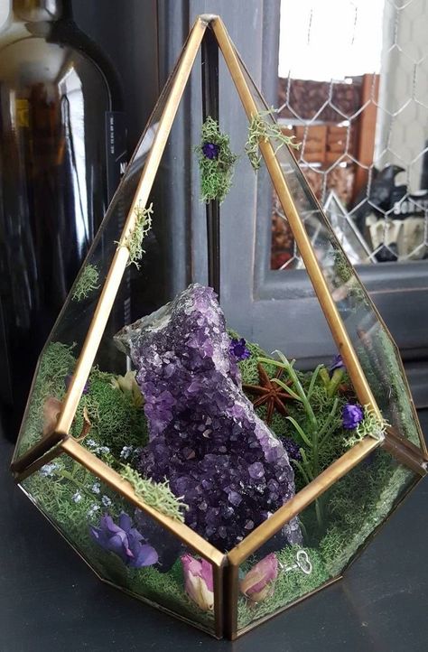 Autumn Crystals, Crystals Terrarium, Crystal Garden Terrarium, Terrarium Crystal, Rock Shelf, Crystal Terrarium, Crystal Room Decor, Terrarium Kit, Crystal Room