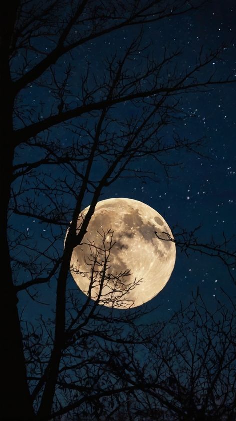 Dark Moon Wallpaper Night Skies, Moon Through Trees, Beautiful Moon Night, Dark Moon Wallpaper, Moon Desktop Wallpaper, Moon Wallpaper Iphone, Moon Scenery, Moon Pfp, Wallpapers 4k Hd