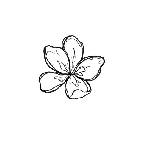 Flower Tattoos Hawaiian, Flower Trio Tattoo, Hibiscus Flower Line Drawing, Flower Hibiscus Tattoo, Frangipani Tattoo Colour, Hibiscus Tattoo Drawing, Plumeria Flower Tattoos Black And White, Medium Tattoo Stencils, Hawaiian Shell Tattoo