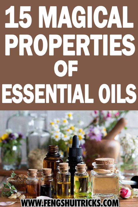 Although it may look weird or new to you, Essential Oils For Abundance have been utilized as a money magnet and to attract good luck for thousands of years. In this post, we provide 15 magical properties of essential oils. Money Magnet Oil Recipe, Oils For Spells, Oils For Abundance, Money Oil Recipe, Types Of Essential Oils, Abundance Essential Oil, Ritual Oils, Esential Oils, Attracting Money