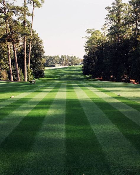 Golf Monthly on Instagram: “Old school Augusta National 😍⛳ #golf #golfer #golfing #golfstagram #golflife #golfcourse” The Masters Aesthetic, Golf Scenery, Golf Course Aesthetic, Golf Field, Golf Aesthetic, Honma Golf, Augusta Golf, Golf Pictures, Golf Photography