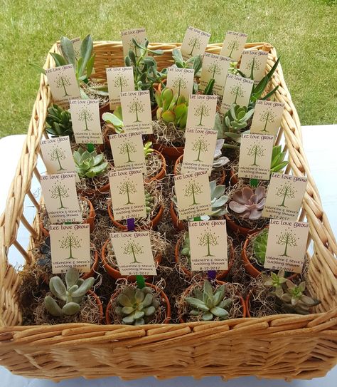 Lord of the Rings succulent wedding shower favors Earth Theme Wedding, Lots Of The Rings Wedding Theme, Wedding Ideas Lord Of The Rings, Medieval Wedding Favors, Lord If The Rings Wedding, Fairy Wedding Favors, Lotr Wedding Centerpieces, Lord Of The Rings Boutonniere, Fairy Woodsy Wedding