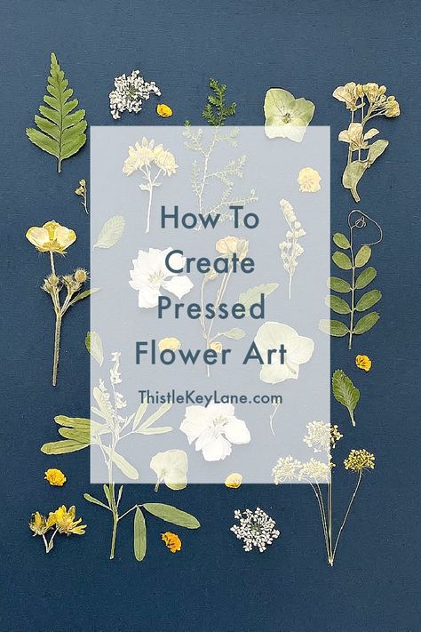 Framing Flowers Pressed, Pressed Flowers In A Frame, What To Do With Pressed Flowers Diy, How To Make Pressed Flower Art, How To Display Pressed Flowers, How To Preserve Pressed Flowers, Pressed Flower Art Projects Diy Crafts, Projects With Pressed Flowers, Pressed Flower Display