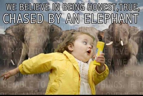 We believe in being honest, true, chased by an elephant..I mean chaste and benevolent. Funny Church Memes, Lds Funny, Mormon Jokes, Church Jokes, Mormon Humor, Mormon Memes, Lds Memes, Church Humor, Church Memes