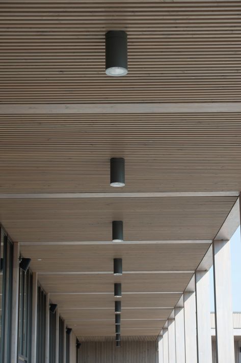 Acoustic Timber | Wood Slat Acoustic Panels | BCL Timber Projects Wood Slat Ceiling, Timber Projects, Interior Ceiling Design, Timber Slats, Timber Ceiling, Ceiling Design Modern, Timber Panelling, Ceiling Detail, Ceiling Treatments