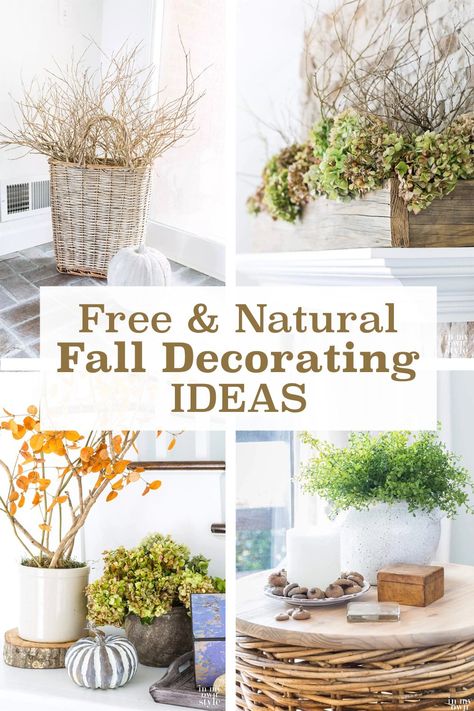 Fall Decor Using Nature, Quick Fall Decor, Nature Inspired Fall Decor, Homestead Fall Decor, Frugal Fall Decor, Using Nature To Decorate, Nature Fall Decor, Fall Decor Natural, Diy Fall Decor From Nature