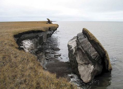 Wildlife Biologist, Environmental Change, Sea Level Rise, Ancient Origins, History Channel, Coal Mining, Environmental Science, Earth Science, British Museum