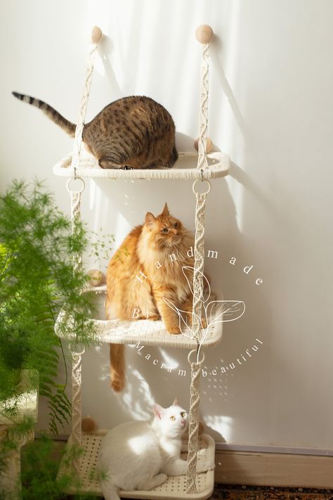 Unique Cat Bed, Macrame Cat Hammock, Cat Window Perch, Window Perch, Pet Hammock, Cat Window, Cat Hammock, Cat Tower, Cat Bed