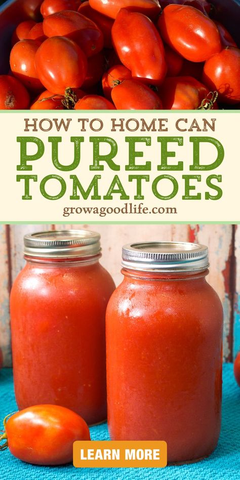 How To Puree Tomatoes, Canning Tomato Puree, Canned Tomato Puree Recipes, No Peel Tomato Sauce For Canning, Pureed Tomato Recipes, Tomato Puree From Fresh Tomatoes, How To Make Tomato Puree, Ripe Tomato Recipes, Tomato Sauce Recipe Dishes