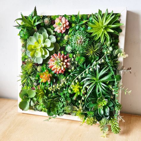 Succulent wall art