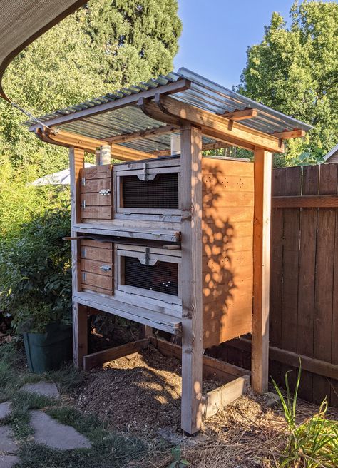 Diy Outdoor Quail Coop, Quail Coop From Dresser, Quail Cage With Egg Roll Out, Bobwhite Quail Coop, Quail Pen Plans, Pallet Quail Coop, Small Quail Coop, Diy Quail Aviary, Outdoor Quail Enclosure