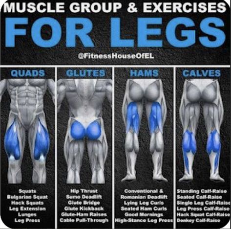 Leg Muscle Exercises, Bigger Legs Workout, Bigger Legs, Leg Challenge, Leg Muscle, Leg Workouts Gym, Leg Training, Gym Workout Chart, Leg Exercises