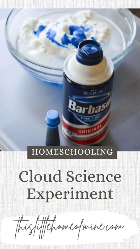 Types Of Clouds For Kids, Cloud Science Experiment, Cloud Experiment, Cloud Experiments, Cloud Science, Clouds For Kids, Types Of Clouds, Cloud Type, The Water Cycle