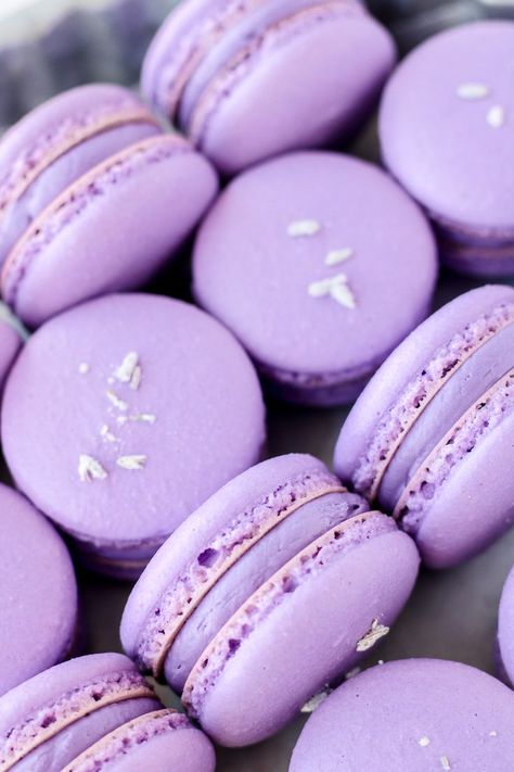 Blackberry Macarons, Lavender Macaron, Blackberry Buttercream, Purple Desserts, Lavender Cupcakes, Lavender Macarons, Macaron Template, Crystallized Ginger, Violet Pastel