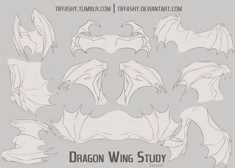 Dragon Wing Study/Tutorial by TIFFASHY on DeviantArt Study Tutorial, Wings Sketch, Drawing Dragon, Dragon Wing, Cat Cookies, Free Script Fonts, Dragon Egg, Dragon Wings, Blue Dragon