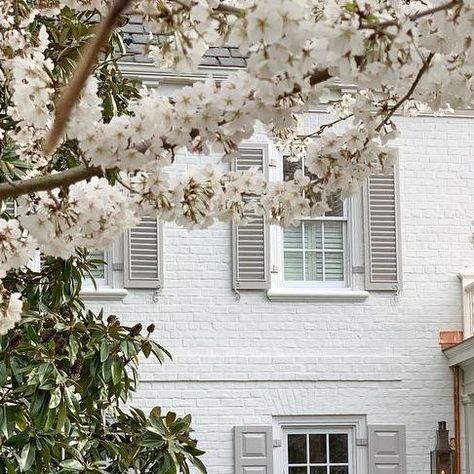 Nicole Green on Instagram: "We’ve been hard at work on this East Coast stunner!  What was once red brick and black shutters, has been softened with classic whites and grays.  We built out the front porch in collaboration with architect @barnesvanze and Mother Nature added the spring blooms. This place is looking even more dreamy than we’d imagined. 🙌🏻 #chevychaseprojectNGDH" White House With Shutters, White Shutters, Black Shutters, House Shutters, Hard At Work, White Brick, White Duck, Red Bricks, Spring Blooms