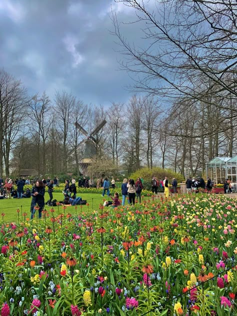 Netherlands Countryside, Dutch Aesthetic, Netherlands Aesthetic, Tulips Netherlands, Friesland Netherlands, Spring Breeze, Photo Boards, Future Life, Scandinavia