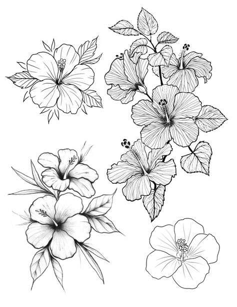 Hibiscus Traditional Tattoo, Thespesia Grandiflora Tattoo, Hibiscus Tattoo Design, Hawaiian Flower Drawing, Hibiscus Flower Drawing, Flower Tattoo Stencils, Hibiscus Flower Tattoos, Flor Tattoo, Japanese Flower Tattoo