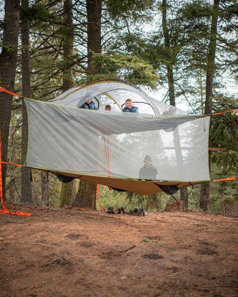 Tree Tents Hanging, Tree Tent Camping, Campsite Ideas, Best Family Tent, Interesting Homes, 3 Person Tent, Cozy Camping, Tree Camping, Tree Bed