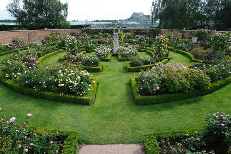 12 Tips for Designing Beautiful Rose Beds | HGTV Sidewalk Garden, Rose Garden Landscape, Pruning Roses, Rose Garden Design, Shade Shrubs, Victorian Gardens, Hgtv Garden, Rose Gardens, Fragrant Roses