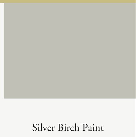 Neptune Silver Birch, Narrow Kitchen, Silver Mist, Silver Birch, Paint Colours, Open Plan, Colour Palette, Paint Colors, Lounge