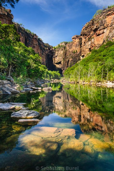 Kakadu National Park Aesthetic, Kakadu National Park Australia, National Parks Australia, Australian National Parks, Landscape Australia, Australia Aesthetic, Australian Landscapes, Australian Nature, Atherton Tablelands