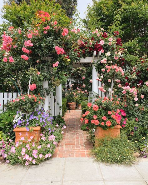 A Local’s Weekend Guide to San Diego: 3-Day Itinerary | Coronado Rose Garden Winter Planter Ideas, Rose Garden Landscape, Planter Decor, Garden Winter, Gem Design, Rose Garden Design, Garden Nook, Victoria Magazine, Winter Planter