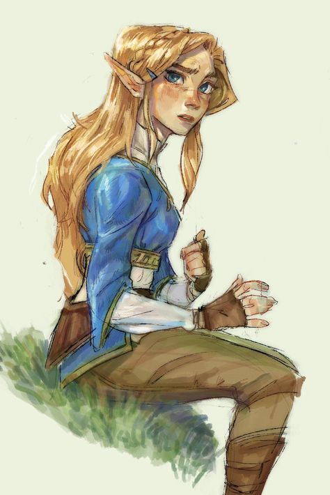 Silent Princess, Zelda Drawing, Zelda Fanart, Hyrule Castle, Legend Of Zelda Characters, Botw Zelda, Princesa Zelda, Zelda Funny, Luscious Hair