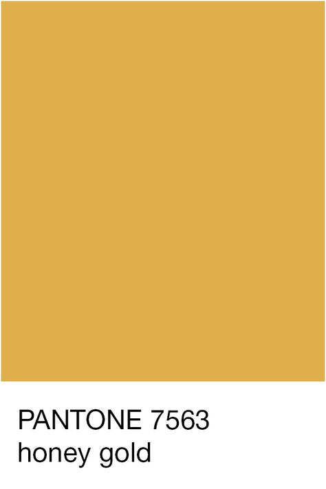 Honey Pantone, Honey Color Palette, Gold Pantone Color, Gold Color Code, How To Make Yellow, Gold Color Palette, Pastel Color Wallpaper, Pantone Palette, Color Pantone