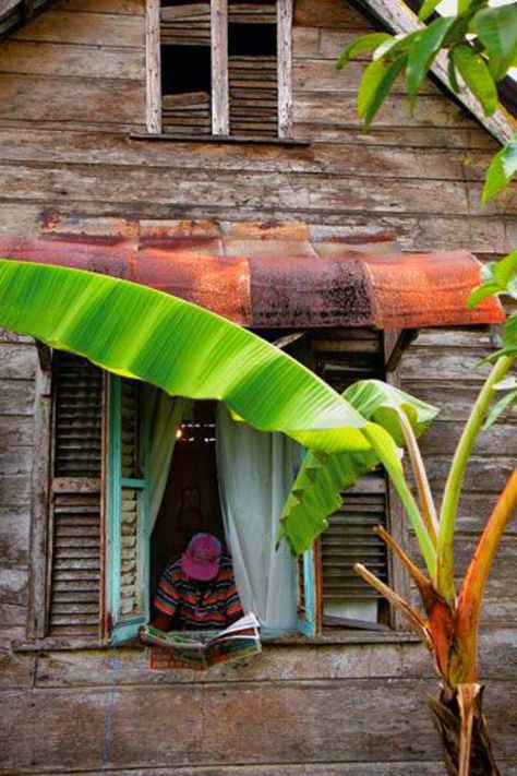 #caribbean #caribbeanhomes #interiors #houseandgarden #tropicalhouses #tropicalliving #troipcaldesign #travel #floraandfauna #tropicalbirds #peterjarrette #lifestyle Trinidad Culture, Jamaican Art, Chris Anderson, Caribbean Homes, Afrique Art, Afrikaanse Kunst, Caribbean Culture, Caribbean Art, Island Art