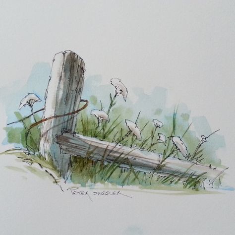 Line and Wash Watercolor of a Fence post and Wildflowers. | par Peter Sheeler Watercolour Tutorials, Watercolor Line Drawing, Line And Wash Watercolor, Peter Sheeler, Line And Wash, Pen And Wash, Watercolor Tutorials, Watercolor Pictures, Watercolor Sketchbook