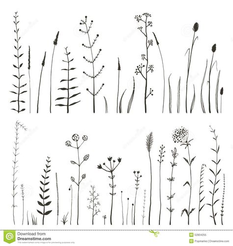 Sketchy Wild Field Flowers and Grass on White Royalty Free Stock Photo Wildflower Drawing, Field Flowers, Tiny Tattoo, Diy Tattoo, Pola Sulam, Plant Drawing, Trendy Flowers, Plants And Flowers, Bullet Journal Doodles