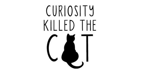 Curiosity Killed the Cat – 2 Cats and a Blog Steven Wright, Engagement Quotes, Student Voice, Great Minds Think Alike, Writing Portfolio, Curiosity Killed The Cat, Cat Quotes, Inspirational Words, Helpful Hints