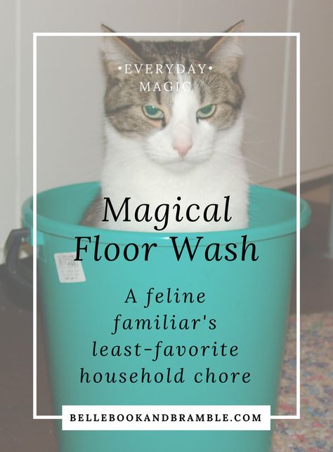 Belle, Book, and Bramble: A blog about the art of everyday magic Witchy Floor Cleaner, Magic Floor Wash Recipe, Witchcraft Floor Wash, Magic Floor Wash, Witchy Floor Wash, Magical Floor Wash Recipe, Floor Wash Magical, Witchy Housekeeping, Floor Cleaning Recipe