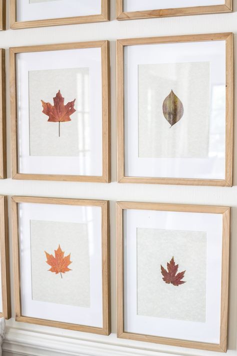 Dry Leaf Art, Leaf Art Diy, Autumn Leaves Craft, Leaf Projects, Framed Leaves, Art 2022, Autumn Leaves Art, Dry Leaves, Fall Frames