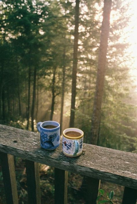 10 Romantic Camping Destinations... do you head outdoors with your better half for Valentines Day? (or any day?) Here's some ideas for an RV trip, just a day trip or a cozy camping one... Tumblr, Nature, Coffee Organization Ideas, Coffee Smell, Haus Am See, Tropical Pool, Hello September, Photo Instagram, In The Woods