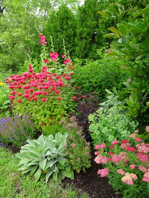 Shadow Garden Ideas, Easy Garden Ideas Landscaping, Garden Perennials, Shadow Garden, Shadow Plants, Shade Gardens, Gardens Design, English Cottage Garden, Outdoor Gardens Design