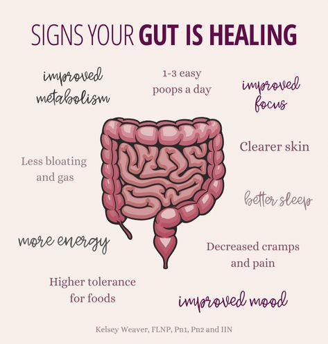 It takes a lot of work to heal the gut! The key is consistency and patience. It took a long time for your gut to be out of balance. So be patient with your body, and continue through strategies that makes sense for your symptoms. You will most likely feel better in some areas, while others may take longer. And that's OK! Adopting a healthy lifestyle that last ...#Actually #10 #SelfCare #NutritionTips #Health #EvidenceBased #FitnessTips #That #Wellness #Tips #and #HealthyLiving #Nutrition #Are Heal Your Body With Food, Healing Gut Health, Heal The Gut, Gut Health Diet, Gut Healing Recipes, Gut Health Recipes, Healthy Hormones, Feminine Health, Herbs For Health